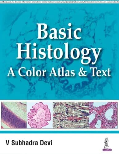 Basic Histology