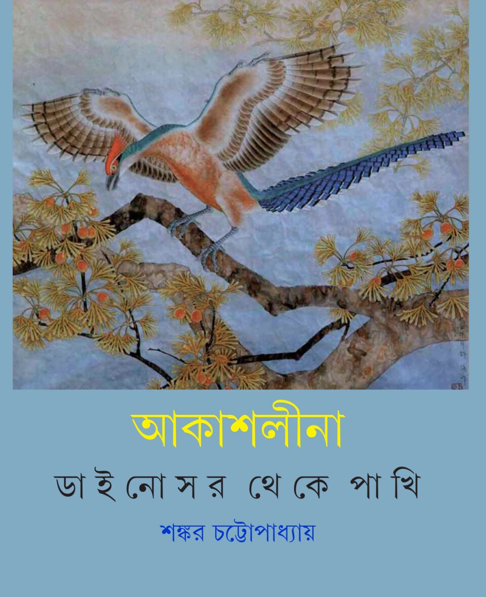 আকাশলীনা