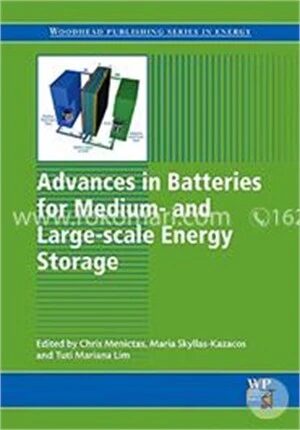 Advances in Batteries for Medium and Large