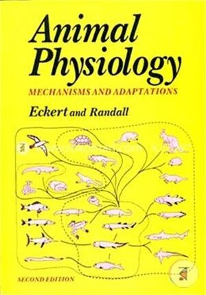 Animal Physiology