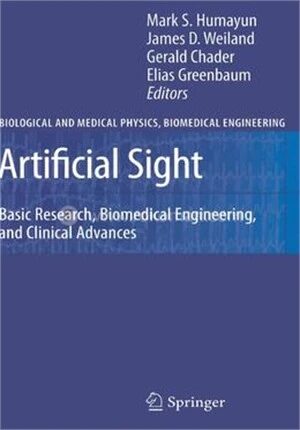 Artificial Sight