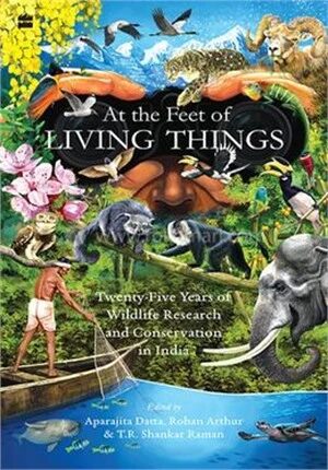 At the Feet of Living Things
