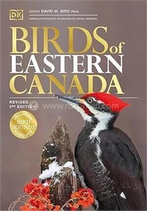 Birds Of Eastern Canada