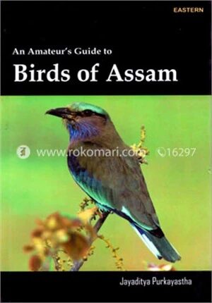 Birds of Assam