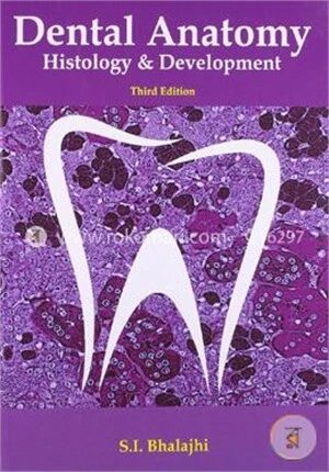 Dental Anatomy