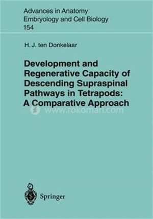 Development and Regenerative Capacity of Descending Supraspinal Pathways in Tetrapods