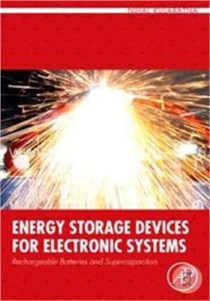 Energy Storage Devices for Electronic Systems