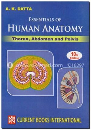Essentials of Human Anatomy