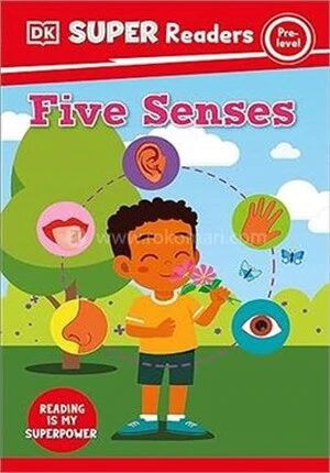 Five Senses