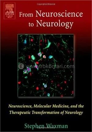 From Neuroscience to Neurology