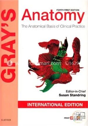 Gray's Anatomy