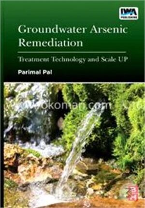Groundwater Arsenic Remediation