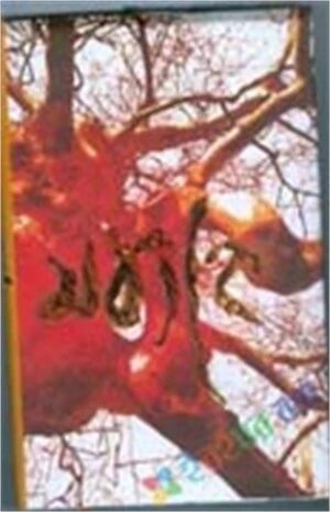 মধ্যাহ্ন - ১