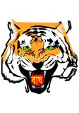 বাঘ