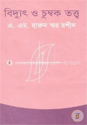 বিদ্যুৎ ও চুম্বক তত্ত্ব