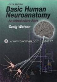 Basic Human Neuroanatomy