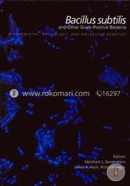 Bacillus Subtilis and Other Gram
