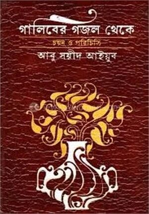 গালিবের গজল থেকে