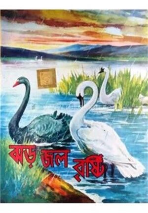 ঝড় জল বৃষ্টি