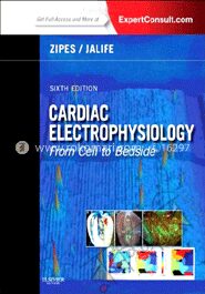 Cardiac Electrophysiology