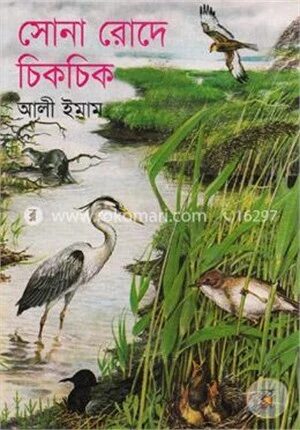 সোনা রোদে চিকচিক