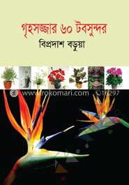গৃহসজ্জার ৬০ টবসুন্দর