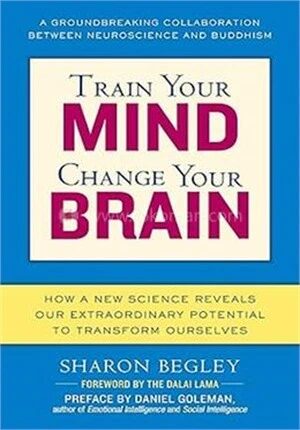 Train Your Mind, Change Your Brain