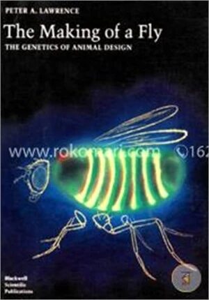 The Making of a Fly