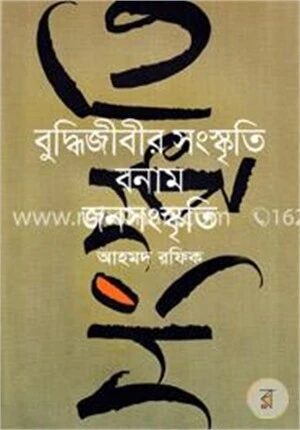বুদ্ধিজীবীর সংস্কৃতি বনাম জনসংস্কৃতি
