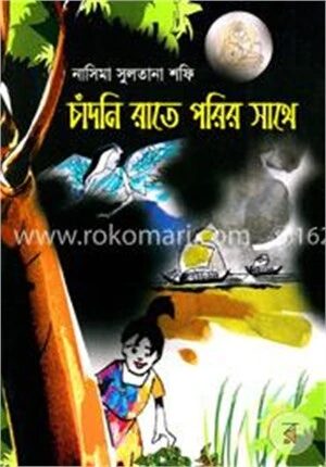 চাঁদনি রাতে পরির সাথে