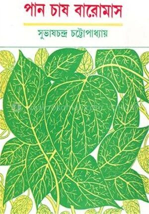 পান চাষ বারো মাস