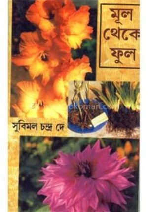 মূল থেকে ফুল