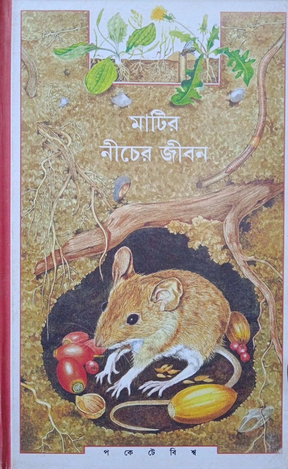 মাটির নিচের জীবন