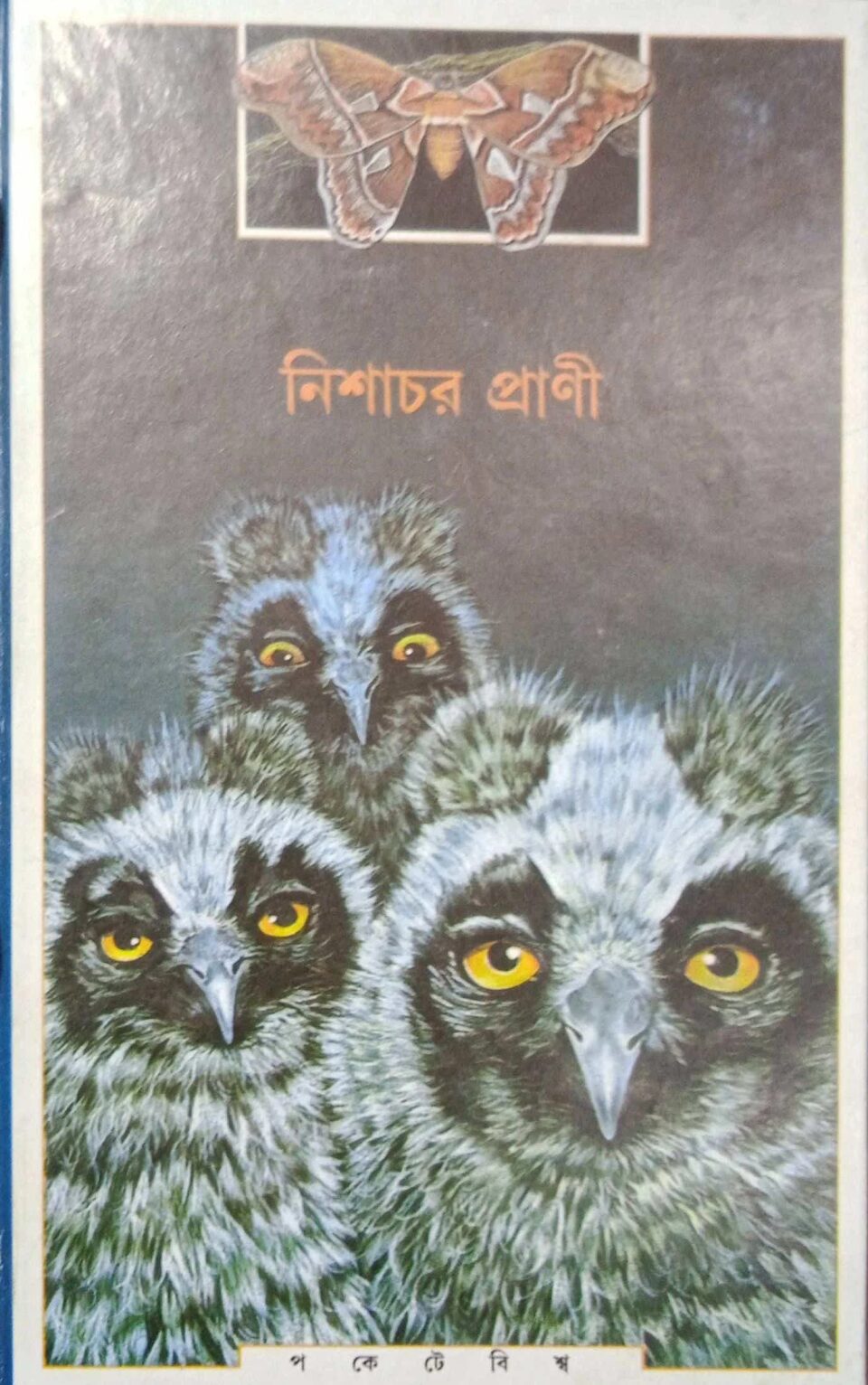 নিশাচর প্রাণী