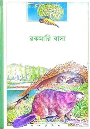 রকমারি বাসা