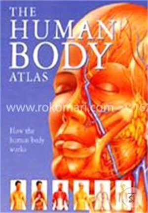 The Human Body Atlas