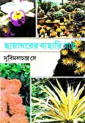 ছায়াঘরের বাহারি গাছ