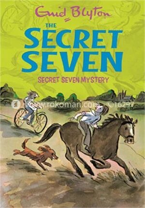 Secret Seven Mystery