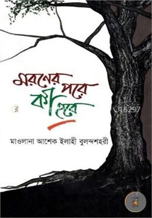 মরণের পরে কী হবে