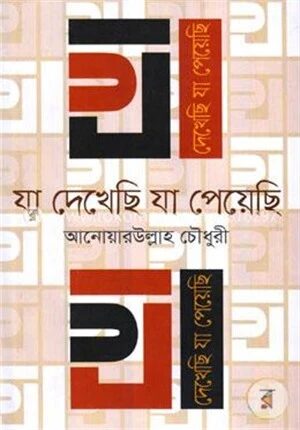 যা দেখেছি যা পেয়েছি