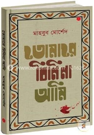তোমারে চিনি না আমি