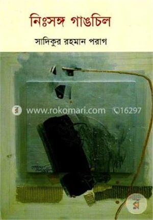 নিঃসঙ্গ গাঙচিল
