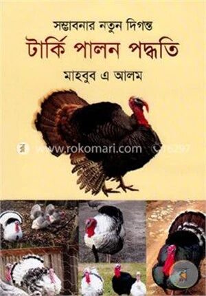 সম্ভাবনার নতুন দিগন্ত টার্কি পালন পদ্ধতি