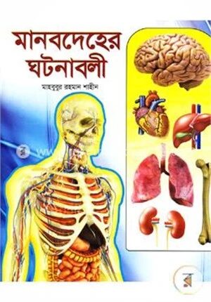 মানবদেহের ঘটনাবলী