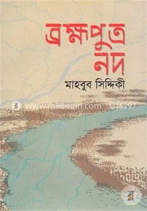 ব্রহ্মপুত্র নদ