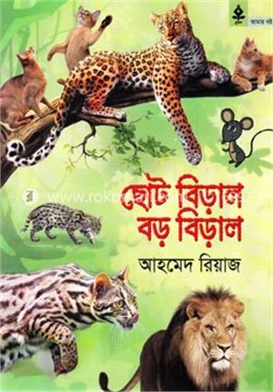 ছোট বিড়াল বড় বিড়াল