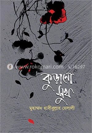 কুড়ানো সুখ