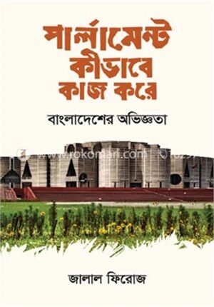 পার্লামেন্ট কীভাবে কাজ করে
