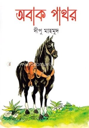 অবাক পাথর