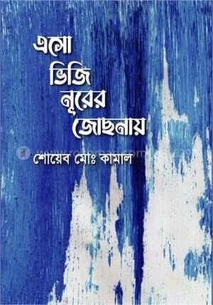 এসো ভিজি নূরের জোছনায়